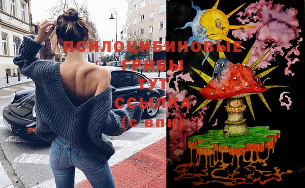 герыч Лагань