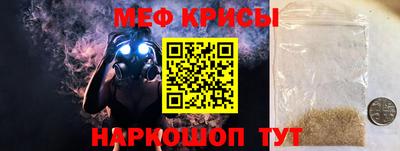 стафф Кингисепп