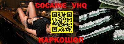 стафф Кингисепп