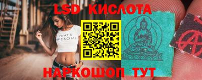 стафф Кингисепп