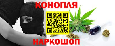 стафф Кингисепп