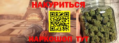 стафф Кингисепп