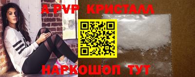 стафф Кингисепп