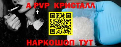 стафф Кингисепп