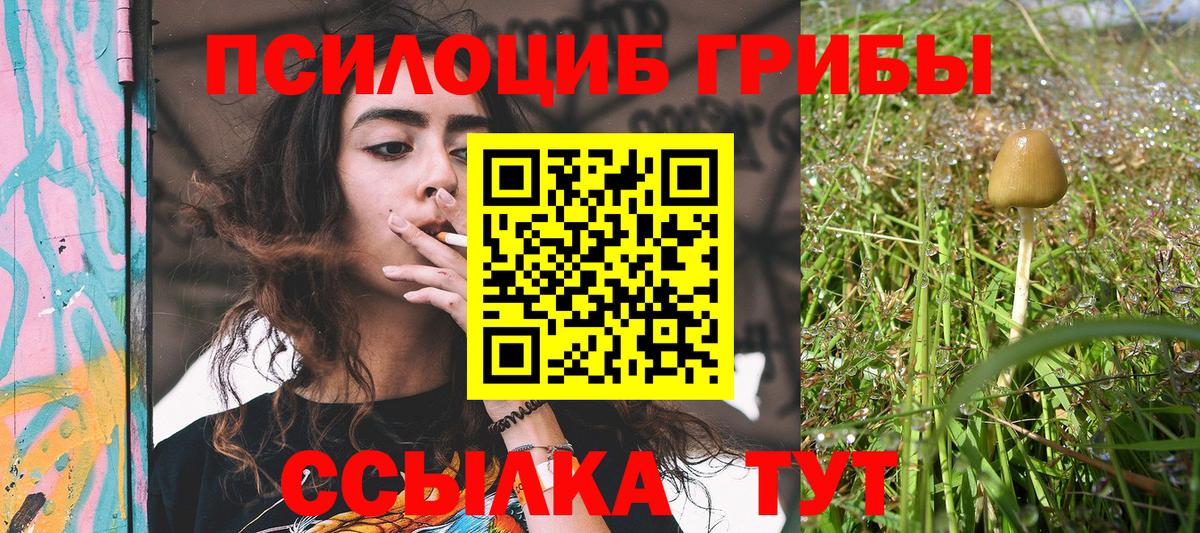 Галлюциногенные грибы мухоморы Мытищи