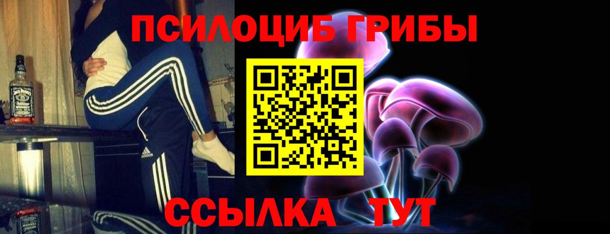 Галлюциногенные грибы прущие грибы  Галлюциногенные грибы Psilocybine cubensis  Мытищи  Вход с VPN 